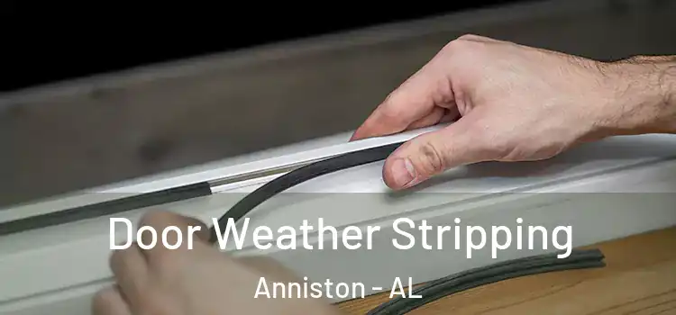 Door Weather Stripping Anniston - AL