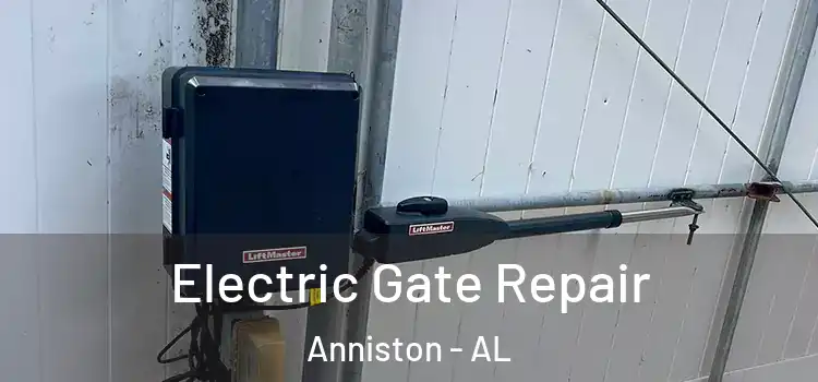 Electric Gate Repair Anniston - AL
