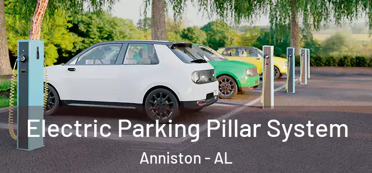 Electric Parking Pillar System Anniston - AL