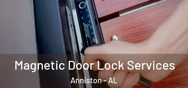 Magnetic Door Lock Services Anniston - AL