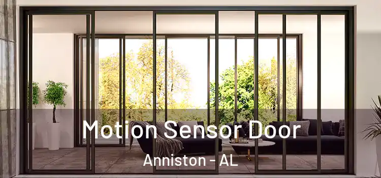 Motion Sensor Door Anniston - AL